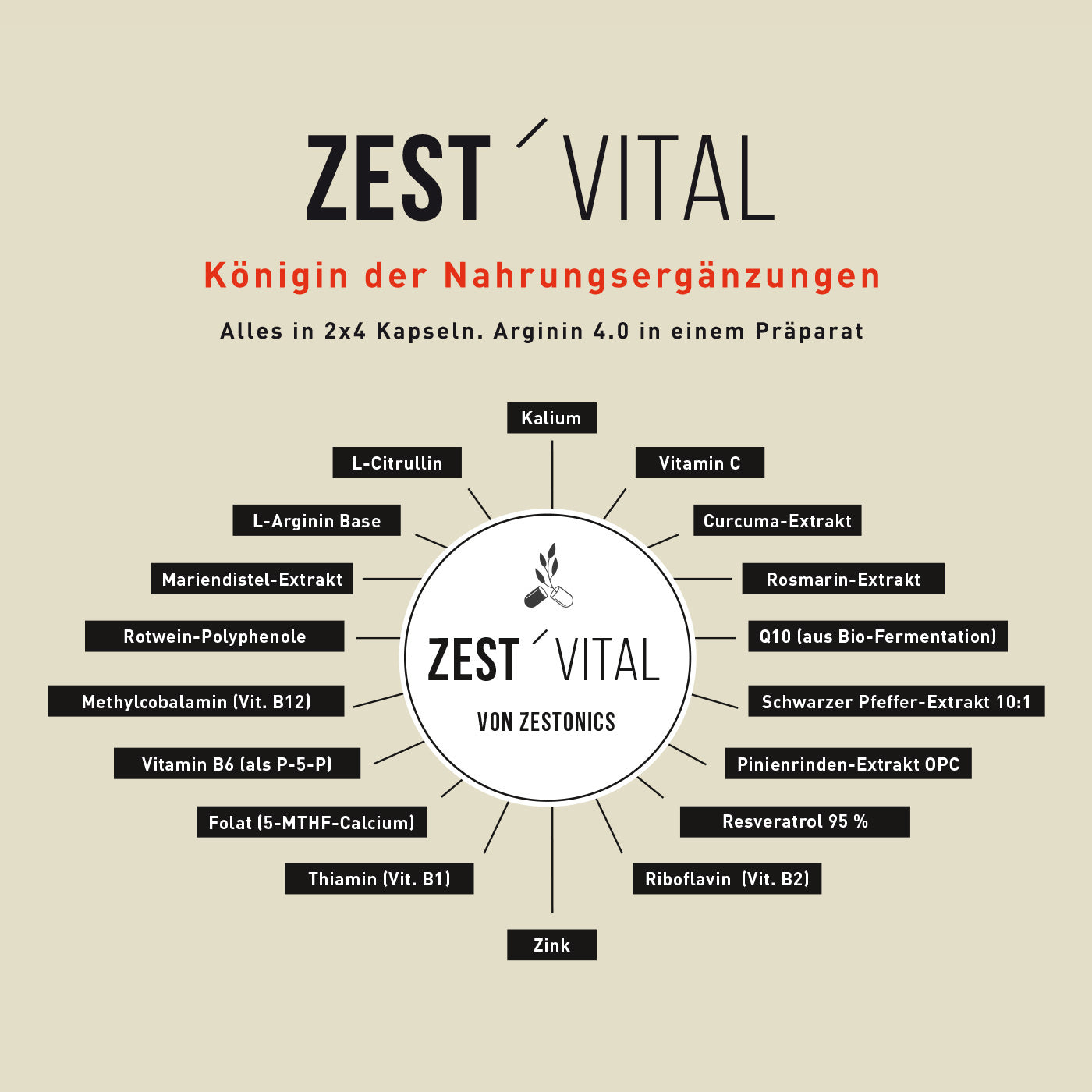 ZEST’VITAL