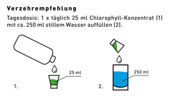 ZEST'LIQUID - Flüssiges Chlorophyll zum Trinken aus Alfalfa mit Minzgeschmack - 1 Liter